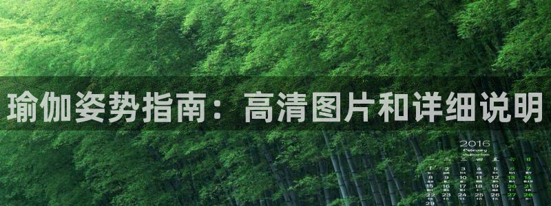 必赢net线路
